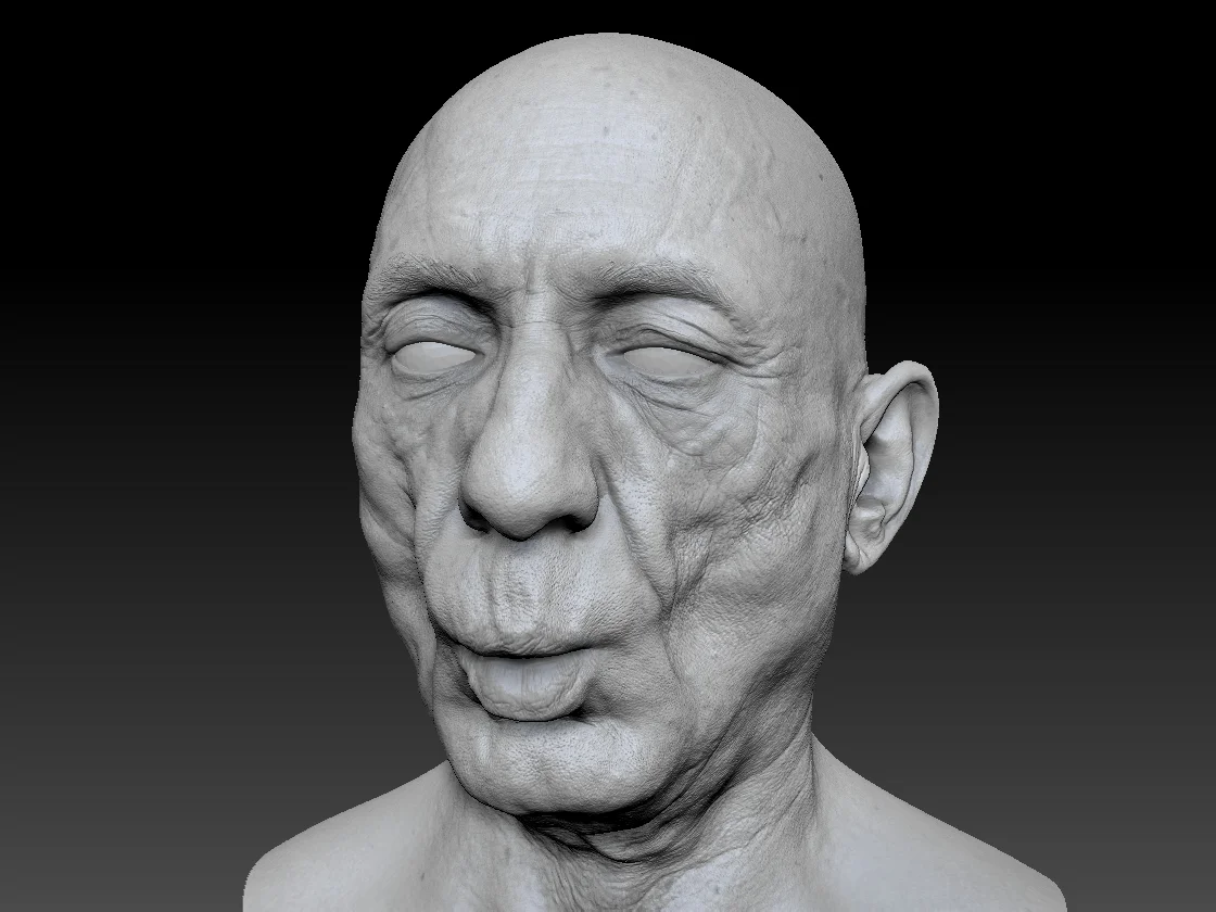 Human heads and FACS scans Render